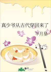 真少爷从古代穿回来了讲的什么