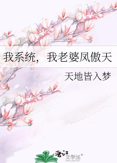 我系统我老婆凤傲天番外篇