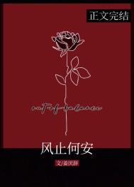 风止何安姜厌辞笔趣阁