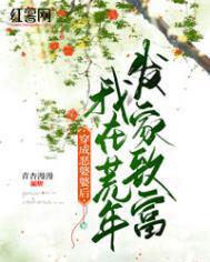 穿成了恶婆婆txt