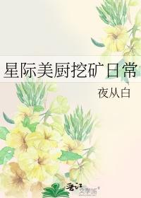 星际美厨挖矿日常类别穿越作者 夜从白