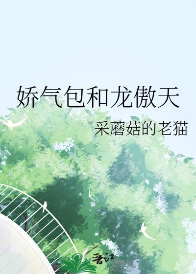 娇气包和龙傲天哪个好看