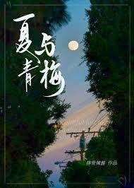 夏与青梅/明恋她类别言情作者 排骨辣酱