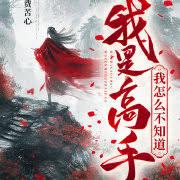 我是高手高手