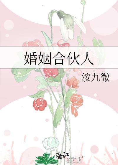 婚姻合伙人by洝九徽番外