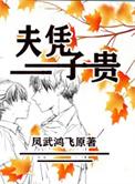 夫凭子贵动漫
