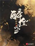 醉金盏 玖拾陆讲的什么