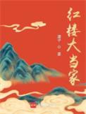 红楼大当家书评