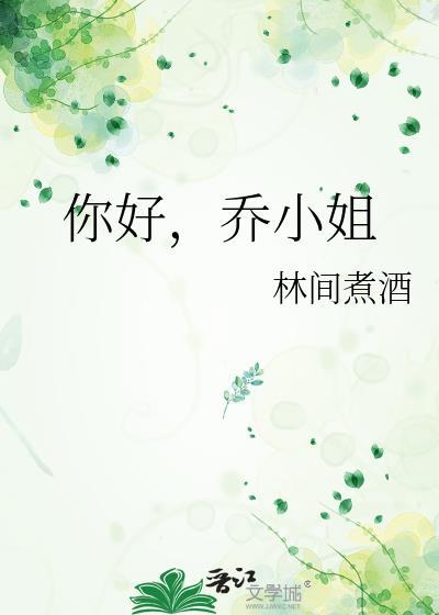 乔小姐txt