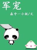 军宠(军旅高干)章节