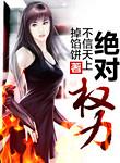 绝对权力免费阅读全文秦峰