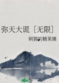 弥天大谎无限