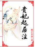 贵妃起居注后记
