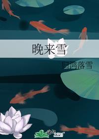晚来雪 归鸿落雪