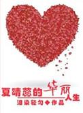 女主叫夏晴的现代重生