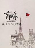 盲婚什么意思