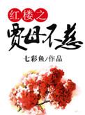 红楼之贾母修仙txt