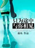 只为途中与你相见歌曲