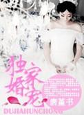 独家婚宠完整版