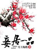妾的品级