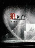 狼来了故事背景音乐纯音乐