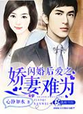 免费闪婚后爱