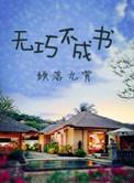 无巧不成书意思相近的四字词语有哪些