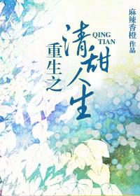 重生之偿清