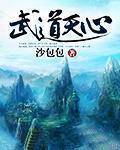 武道天心女主