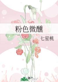 粉色微醺讲的什么