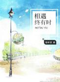 相遇终有时番外重逢