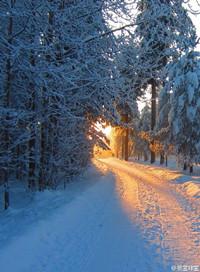 归路电视剧全集免费播放