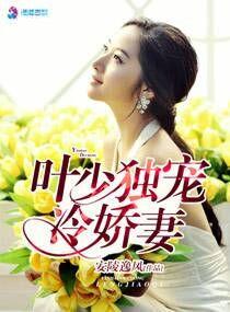 叶少宠妻太凶猛