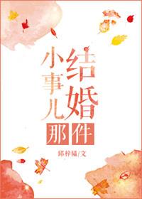 结婚那件小事儿漫画版