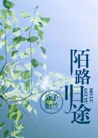 陌路归途演员表大全