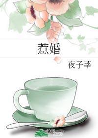惹婚by夜子莘
