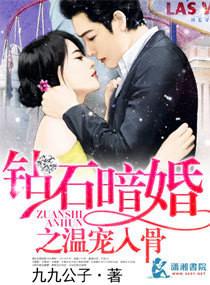 钻石暗婚全文阅读