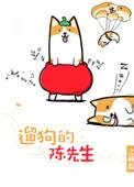 遛狗的陈先生txt