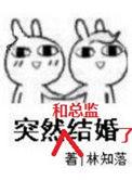 突然和总监结婚了52书库