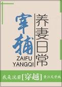 宰辅养妻日常浣若君番外