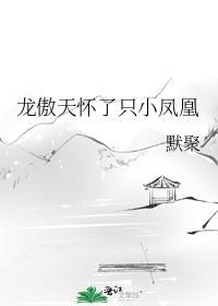 龙傲天怀了只小凤凰txt