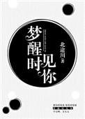 梦醒见你全文