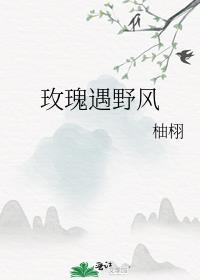玫瑰遇野风柚栩免费笔趣阁