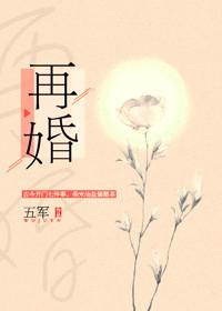 再婚经典