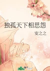 独孤天下中