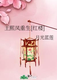 王熙凤重生之计