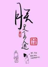 朕是个万人迷快穿全文