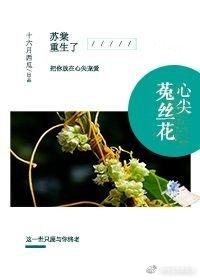 心尖菟丝花重生
