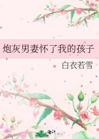 炮灰男妻怀了我的孩子 白衣若雪