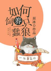 如何饲养一只蠢狼 百度